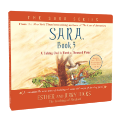 Sara 3: "A Talking Owl Is Worth A Thousand Words" (Audiobook)